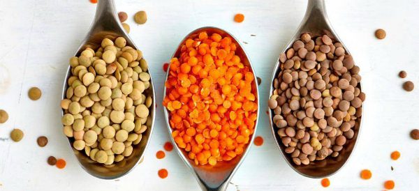 Lentils: calorie content, useful properties and contraindications