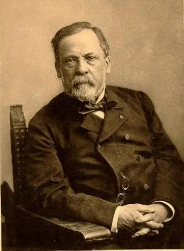 Louis Pasteur and his discoveries: interesting facts and videos