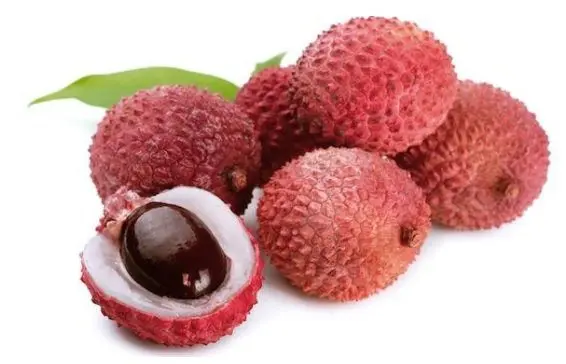 Lychee: health benefits and harms, composition and calorie content