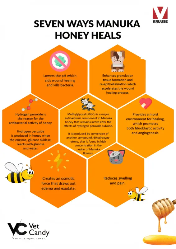 Manuka honey: properties and uses in medicine