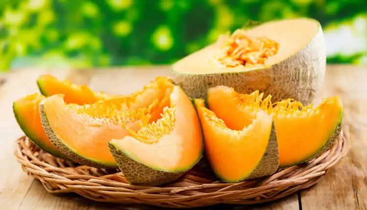 Melon: health benefits and harms