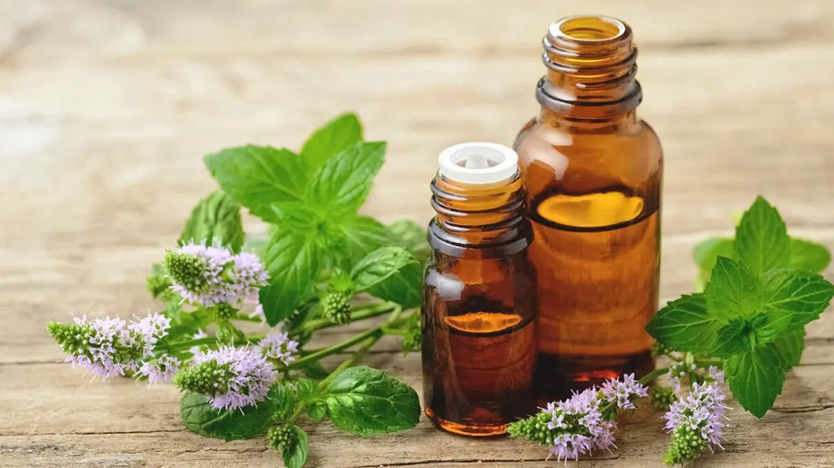 Menthol Oil: Uses for Health and Beauty