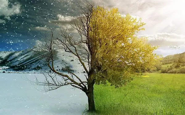 Meteorological dependence: symptoms treatment of meteopaths