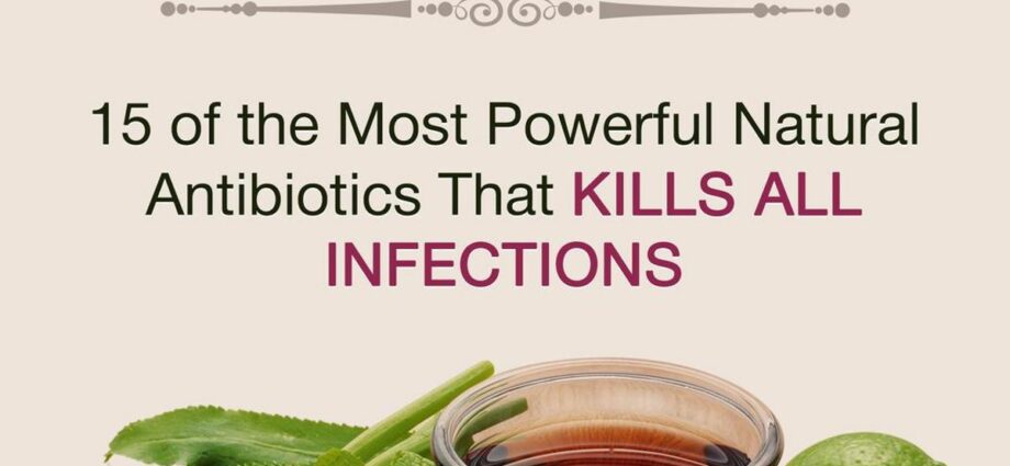 Natural antibiotics and their uses: tips and videos