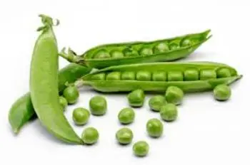 Peas: health benefits and harms