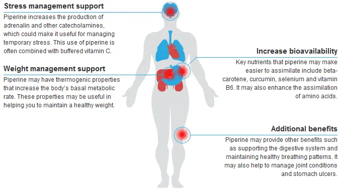 Piperine: use and benefits &#8211; happiness and health