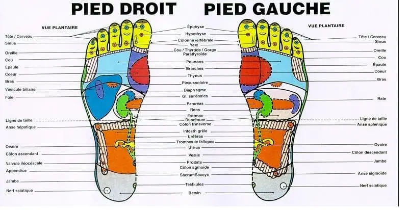 Plantar reflexology: why your feet will say thank you &#8211; happiness and health