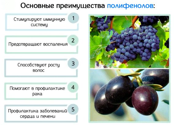 Polyphenols: what they are, their properties and mission