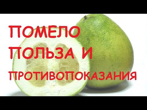 Pomelo: health benefits and harms, tips, videos