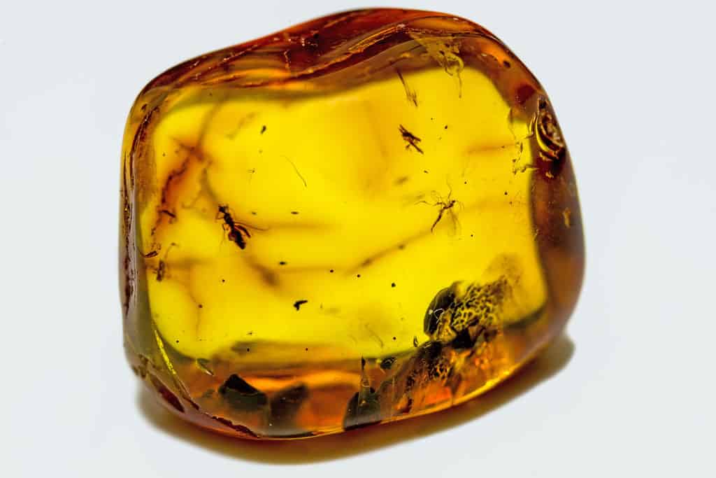 Properties and benefits of amber &#8211; Happiness and health