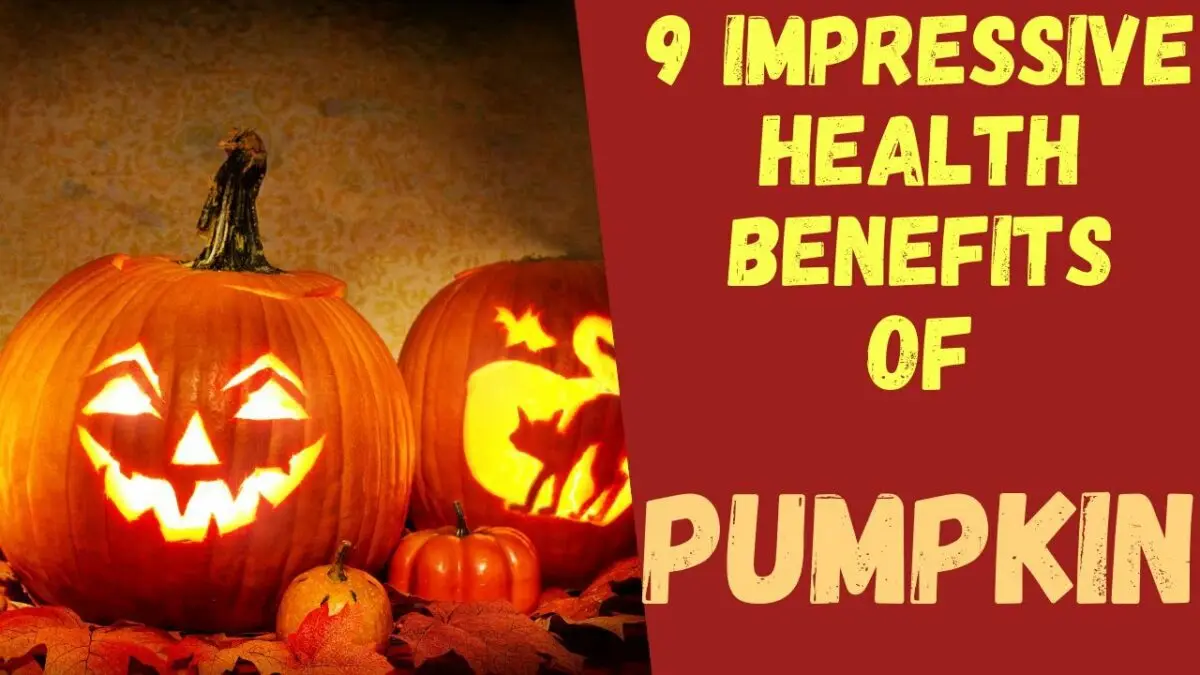 Pumpkin: health benefits and harms, tips, video