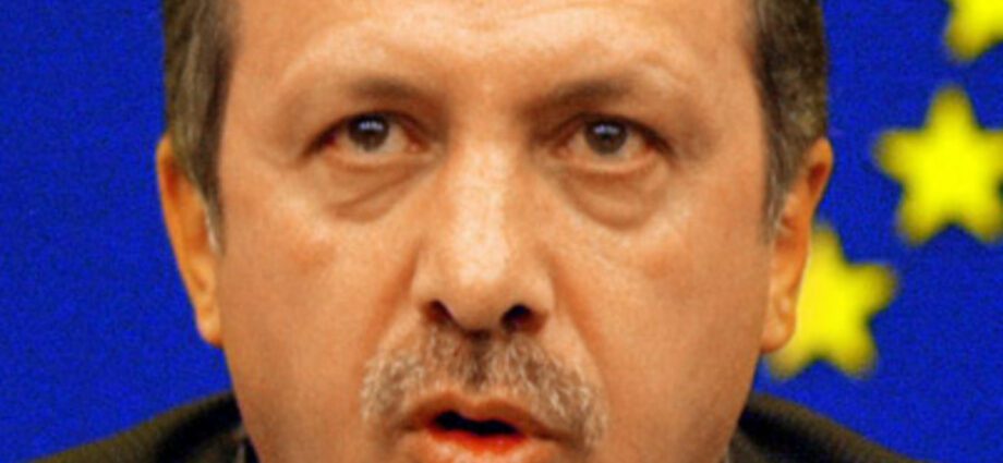 Recep Erdogan: biography, personal life, facts