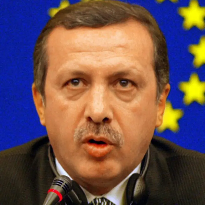 Recep Erdogan: biography, personal life, facts