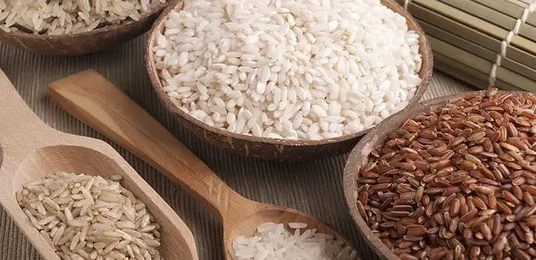 Rice: health benefits and harms, calories