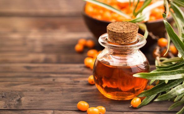 Sea buckthorn: benefits and harms to human health