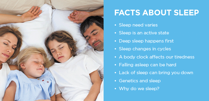 Sleep and human health: interesting facts and videos