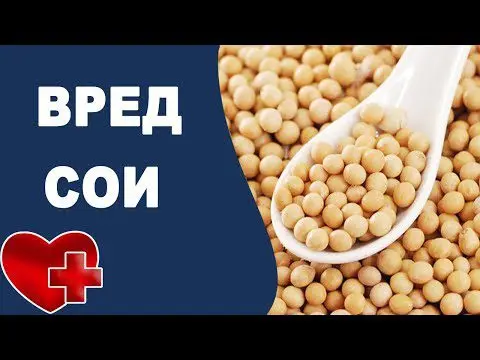 Soy foods: benefits and harms to your health