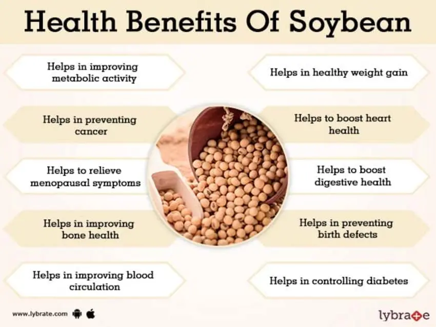 Soy foods: benefits and harms to your health