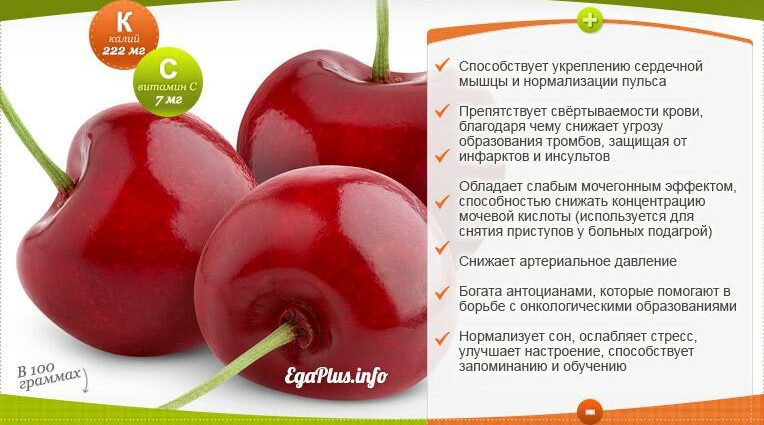 Sweet cherry: benefits and harms for the body, facts, video