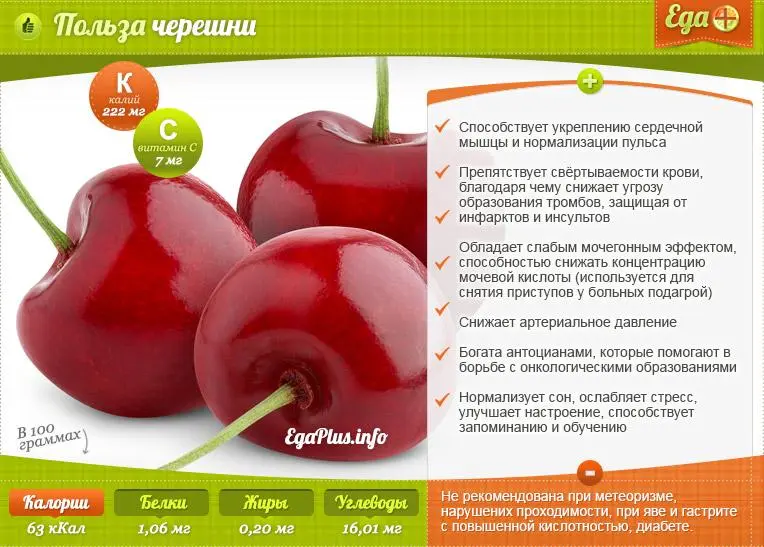 Sweet cherry: benefits and harms for the body, facts, video