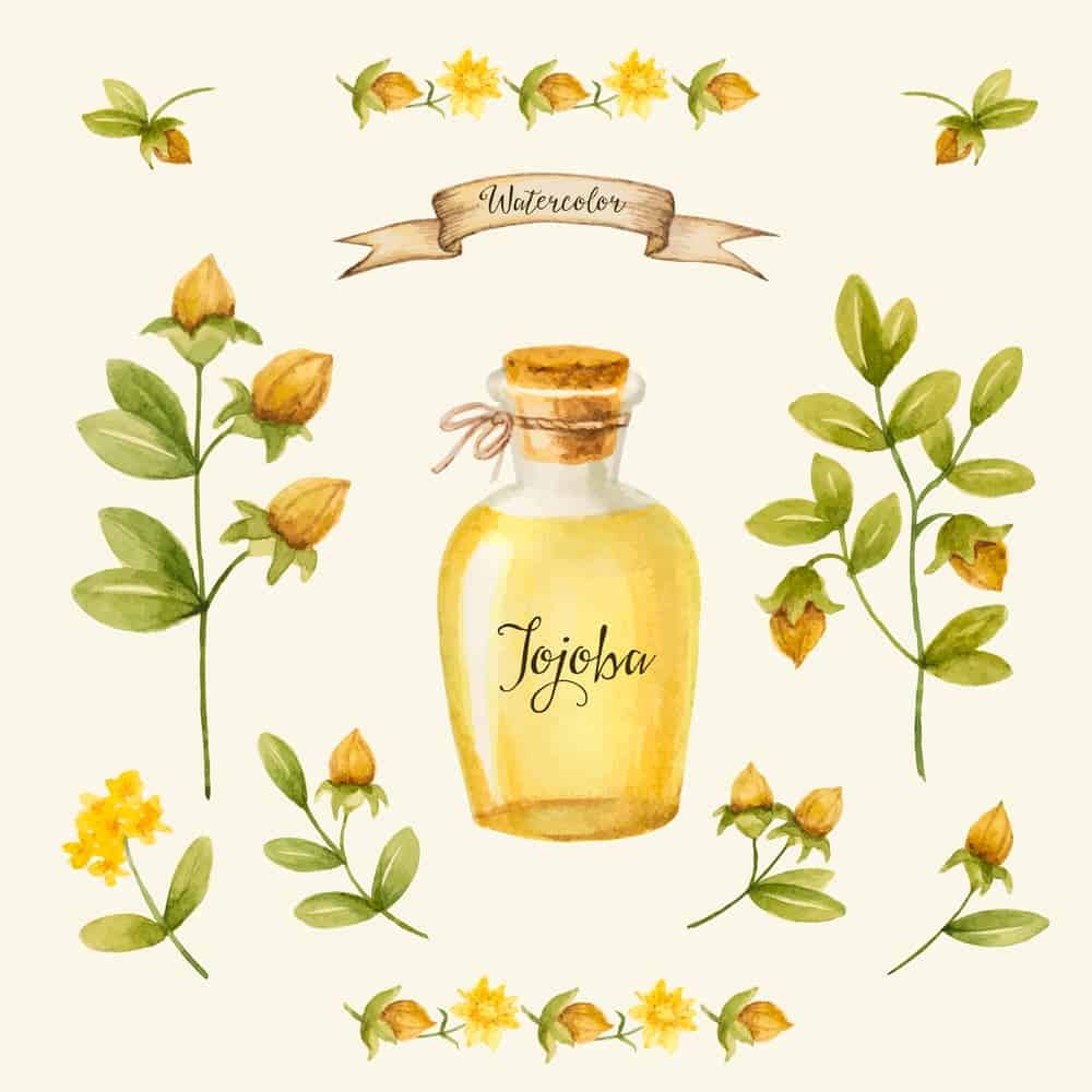 The 10 benefits of jojoba oil