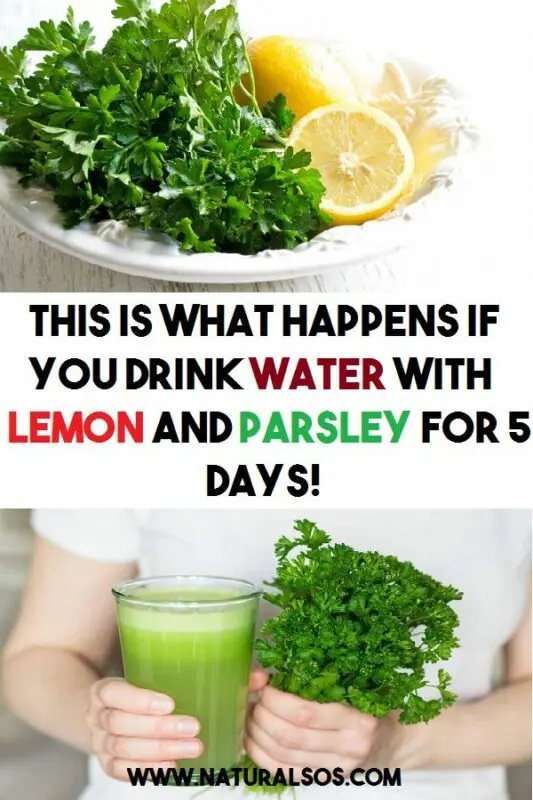 The 12 benefits of lemon parsley drink &#8211; happiness and health