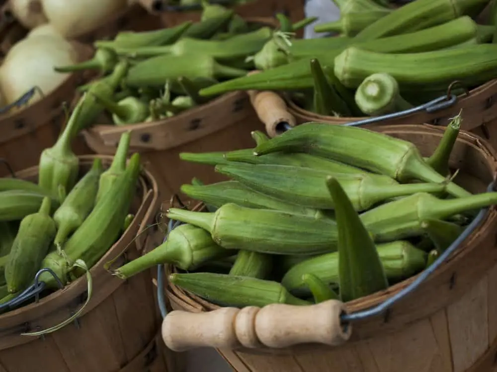 The 14 health benefits of okra