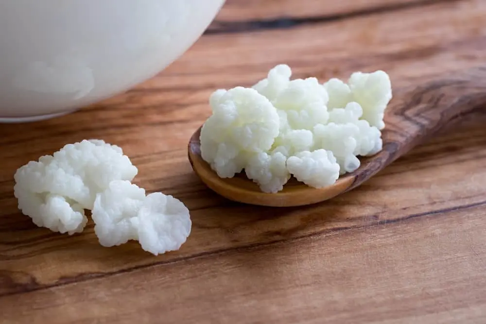 The 15 best natural probiotics &#8211; happiness and health