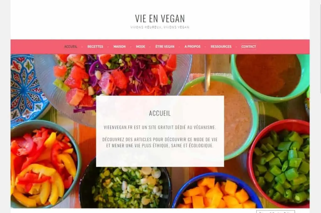 The 40 best sites for vegetarian and vegan cuisine &#8211; Happiness and health