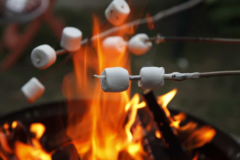 The 7 benefits of marshmallow root