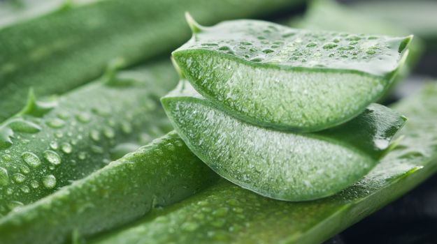 The Amazing Effects of Aloe Vera: 7 Home Remedies &#8211; Happiness and Health