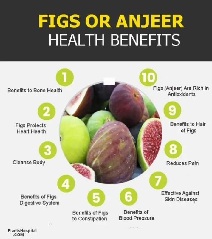 The benefits and harms of figs for human health, video