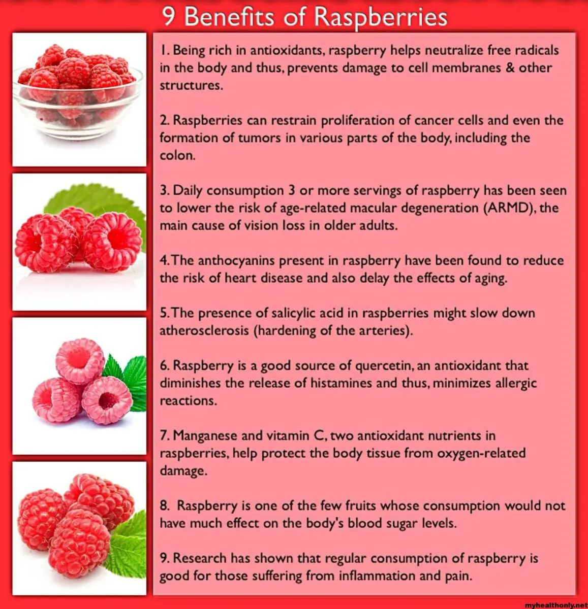 The benefits and harms of raspberries: what you need to know and remember