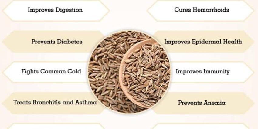 The benefits of cumin for the body: application in the kitchen and in the medicine cabinet