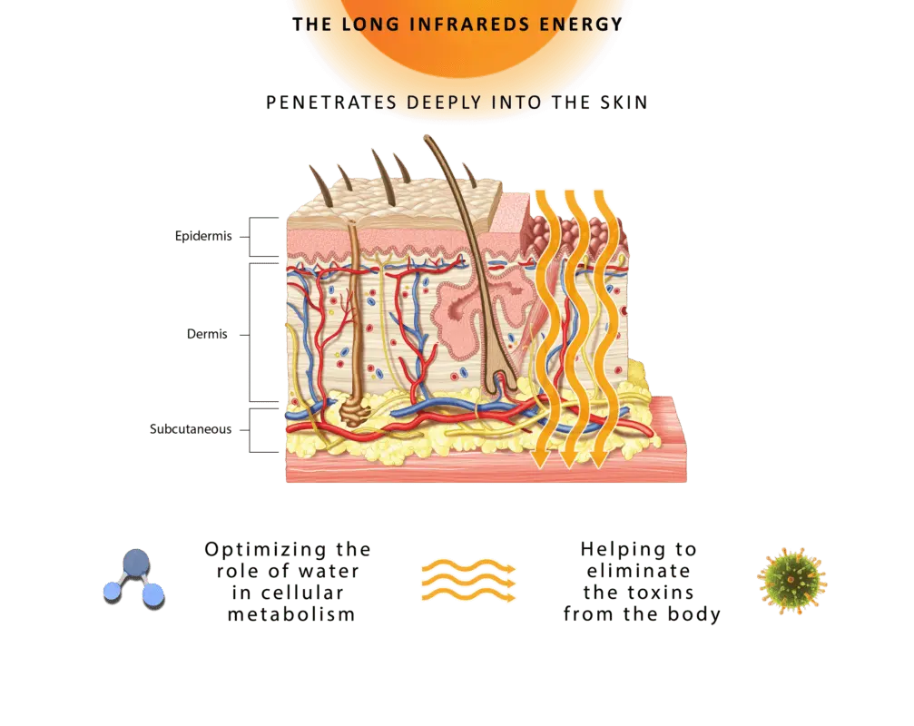 The harm and benefits of an infrared sauna: facts, tips and videos