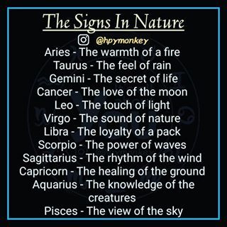 the nature of the zodiac sign, its element and celebrity Leo