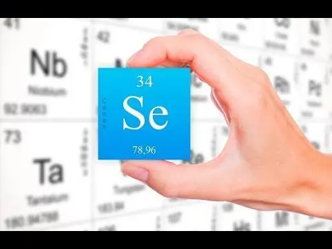 The role of selenium in the human body