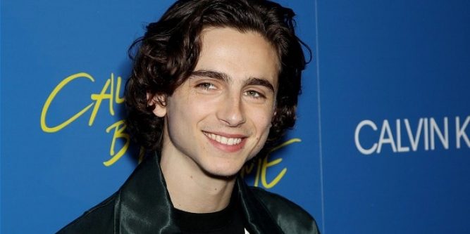 Timothy Chalamet: biography, interesting facts