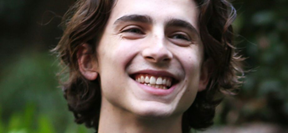 Timothy Chalamet: biography, interesting facts