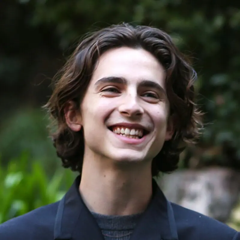 Timothy Chalamet: biography, interesting facts