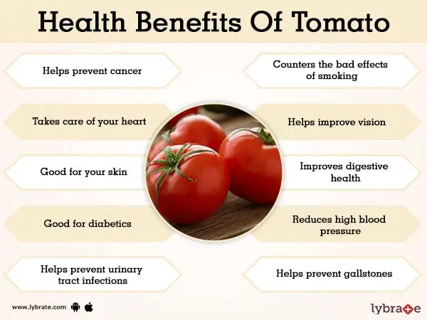 Tomatoes: benefits and harms to the human body, video