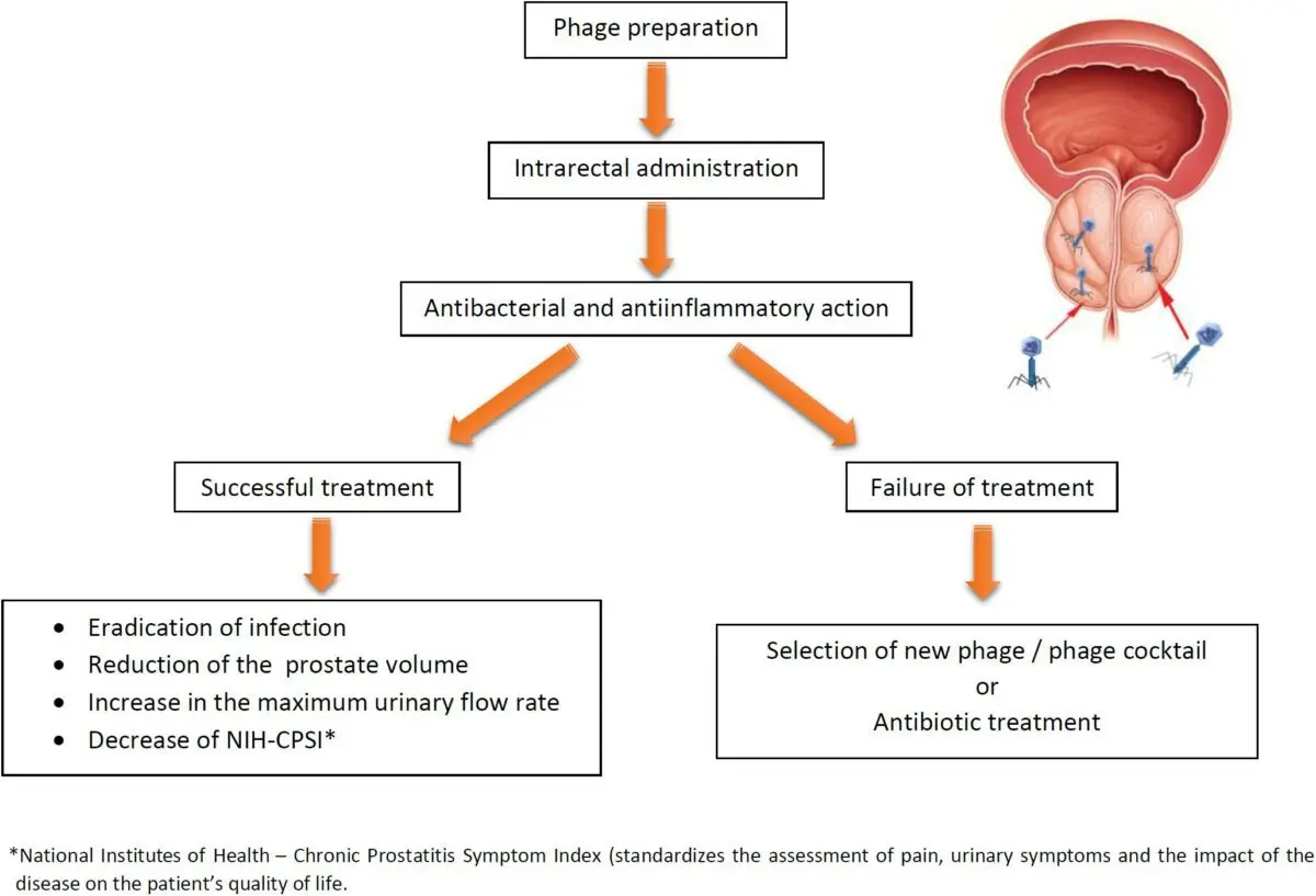 Treatment of prostatitis in men: drugs