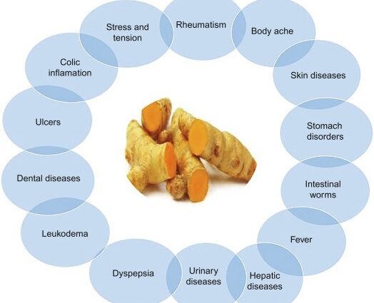 Turmeric: medicinal properties, composition, application