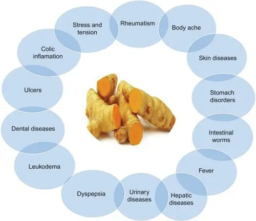 Turmeric: medicinal properties, composition, application