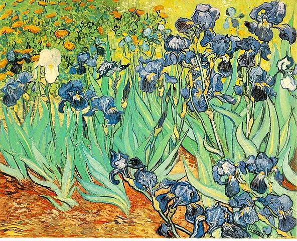 Vincent Van Gogh: biography, interesting facts, video