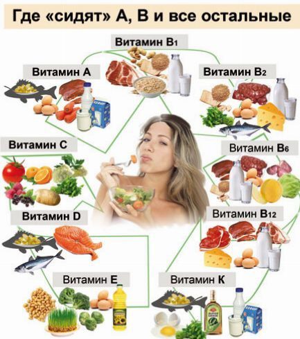 Vitamins: classification and function &#8211; you need to know