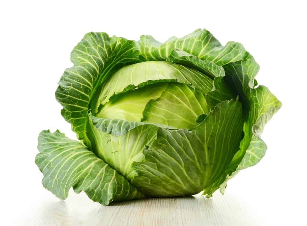 What are the benefits of cabbage juice? &#8211; Happiness and health