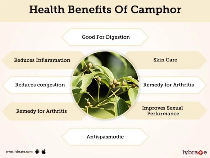 What are the benefits of camphor? &#8211; Happiness and health