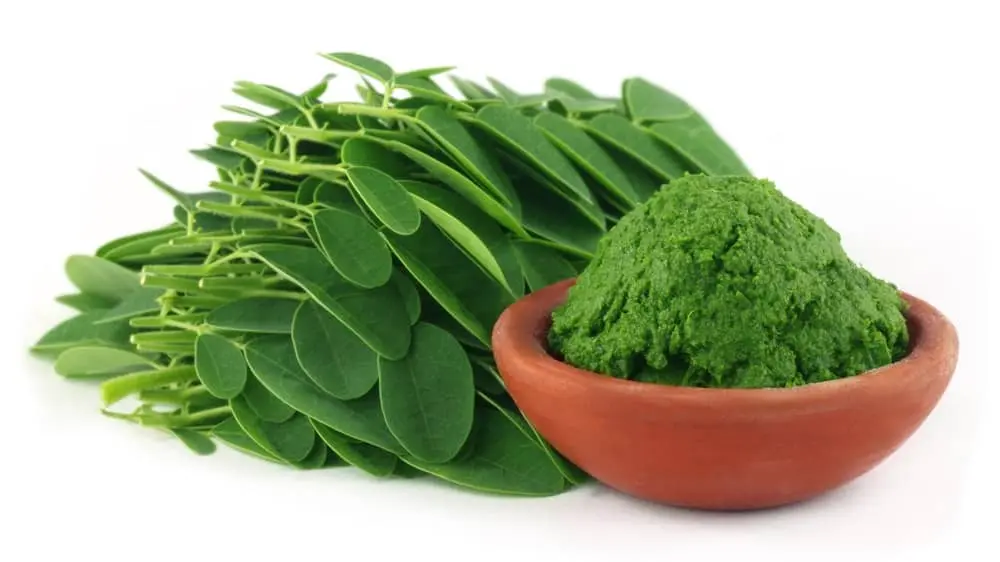 What are the benefits of Moringa &#8211; Happiness and health