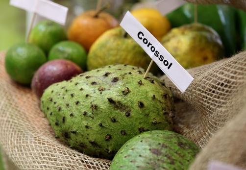 What are the benefits of soursop? &#8211; Happiness and health